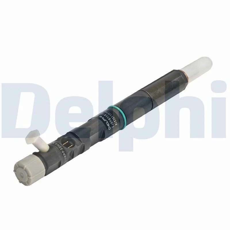 Purkštukas DELPHI R05501D-12B1