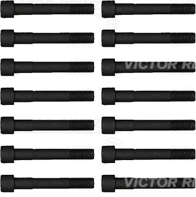 Cylinder Head Bolt Set VICTOR REINZ 14-55065-01