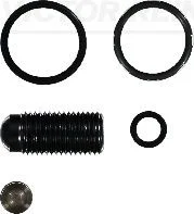 Repair Kit, unit injector VICTOR REINZ 15-42119-01