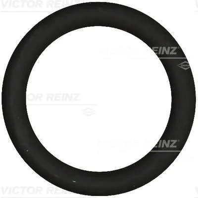 Tesnenie, sacie potrubie VICTOR REINZ 40-76919-00