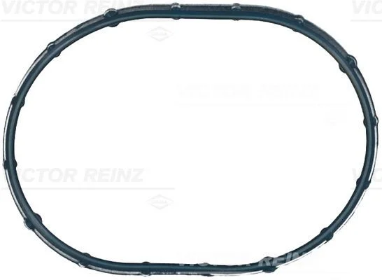 Tesnenie, sacie potrubie VICTOR REINZ 71-21056-00