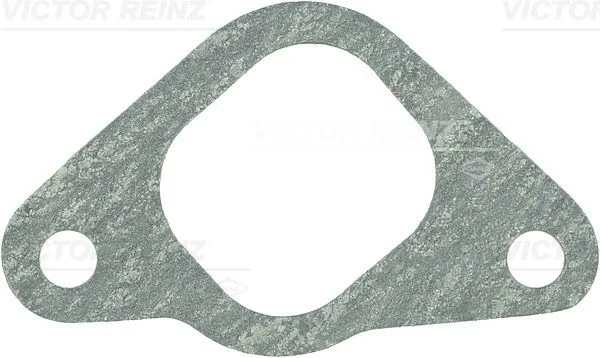 Tesnenie, sacie potrubie VICTOR REINZ 71-35481-00