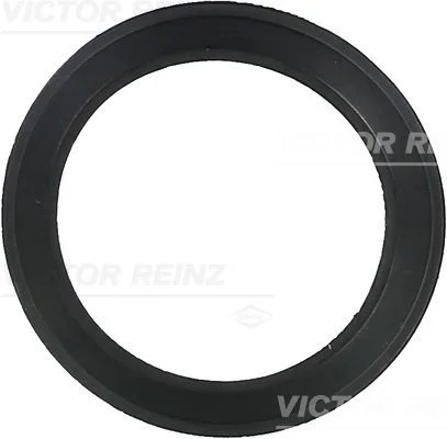 Tarpiklis, įsiurbimo kolektoriaus korpusas VICTOR REINZ 71-36061-00