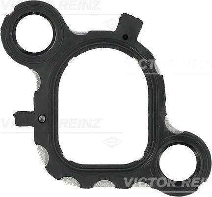 Tesnenie, sacie potrubie VICTOR REINZ 71-36079-00