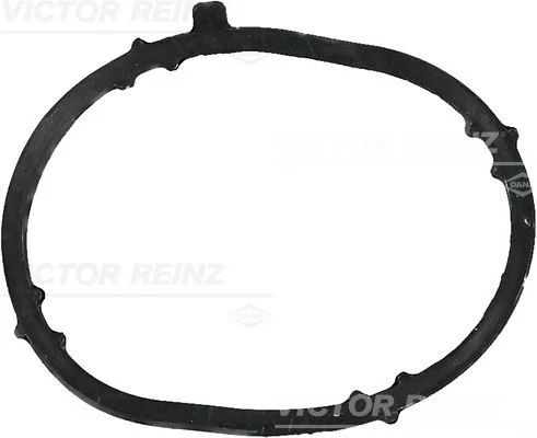 Tesnenie, sacie potrubie VICTOR REINZ 71-39022-00