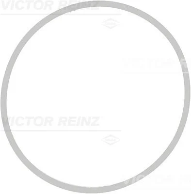 Tesnenie, sacie potrubie VICTOR REINZ 71-39409-00