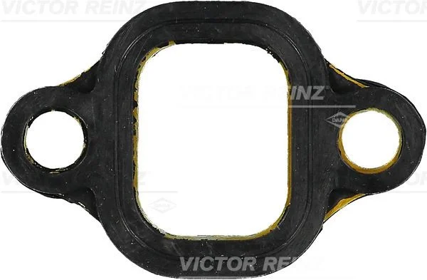 Tesnenie, sacie potrubie VICTOR REINZ 71-53006-00