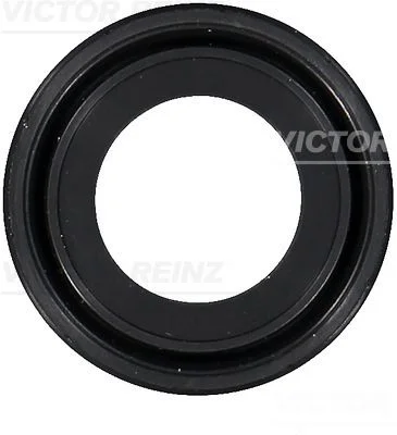 Shaft Seal, camshaft VICTOR REINZ 81-10459-00
