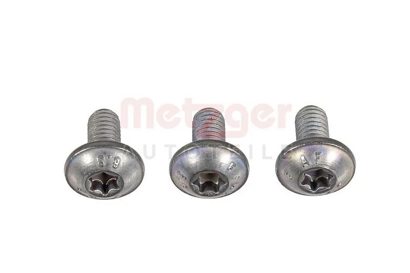 Bolt, splash guard (brake disc) METZGER 6119002