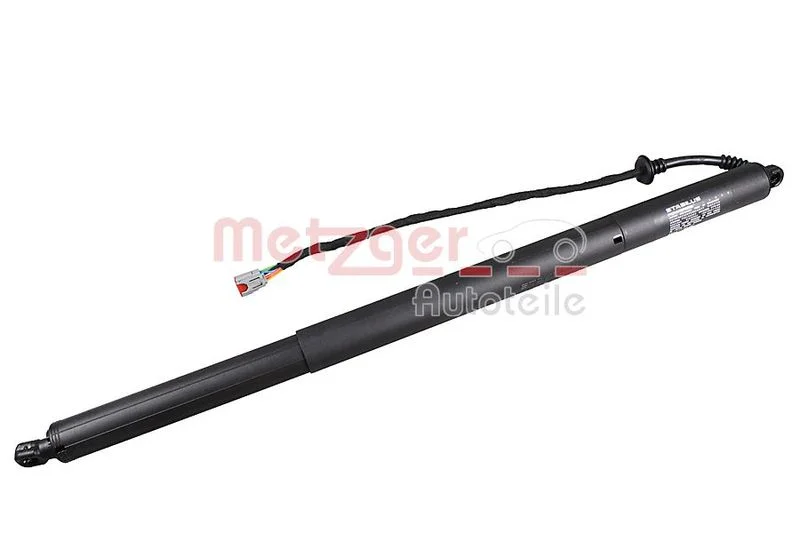 Elektromotor, zadné dvere METZGER 2115026