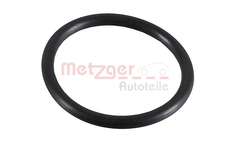 Seal Ring METZGER 2430032