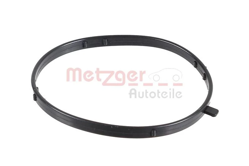 Seal Ring METZGER 2430080