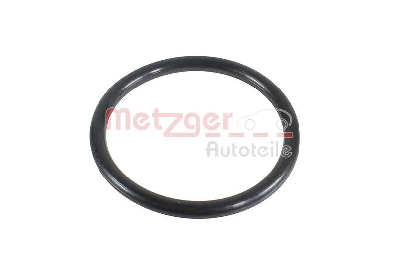 Seal Ring METZGER 2430113