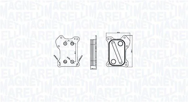 Chladič oleja, motorový olej MAGNETI MARELLI 350300000800
