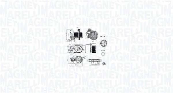 Chladič oleja, motorový olej MAGNETI MARELLI 350300001100