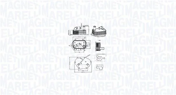 Oil Cooler, engine oil MAGNETI MARELLI 350300002600