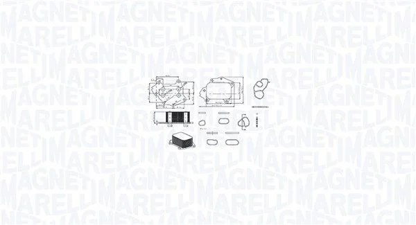 Chladič oleja, motorový olej MAGNETI MARELLI 350300002700