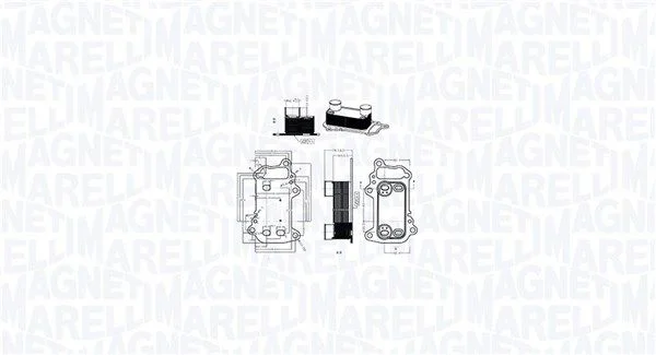 Chladič oleja, motorový olej MAGNETI MARELLI 350300003900