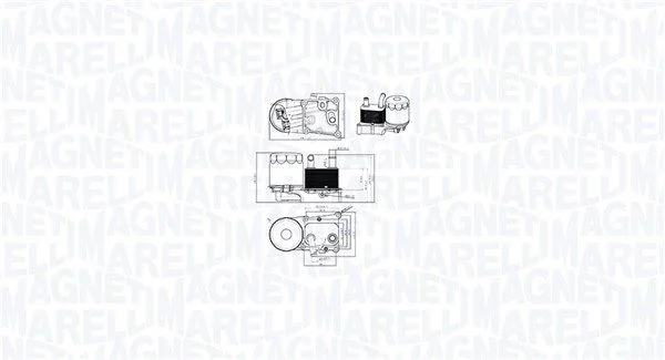 Chladič oleja, motorový olej MAGNETI MARELLI 350300004200
