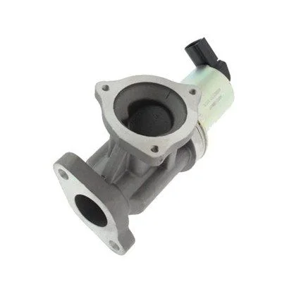 EGR ventil MAGNETI MARELLI 571822112012