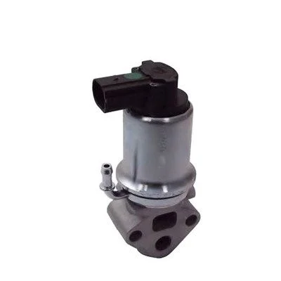 EGR Valve MAGNETI MARELLI 571822112014