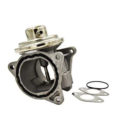 EGR Valve MAGNETI MARELLI 571822112045