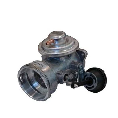 EGR Valve MAGNETI MARELLI 571822112050