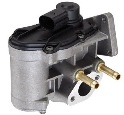 EGR ventil MAGNETI MARELLI 571822112077