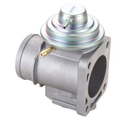EGR Valve MAGNETI MARELLI 571822112087