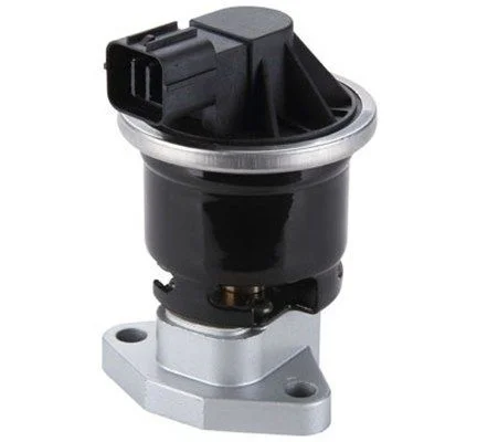 EGR Valve MAGNETI MARELLI 571822112114