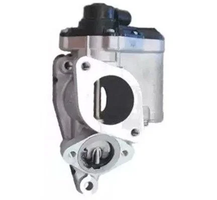 EGR ventil MAGNETI MARELLI 571822112140